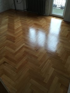 IMG 0535